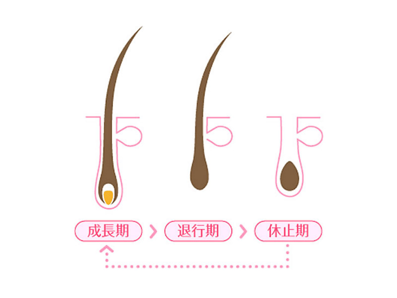 脱毛について